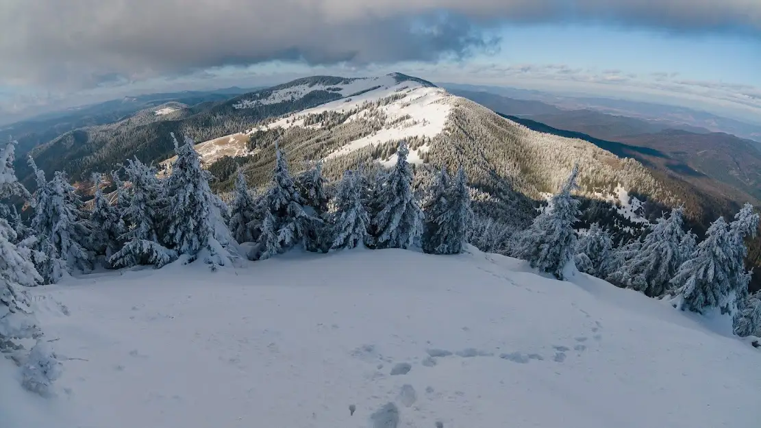 Creasta Nemirei - Andrei Pahomi
