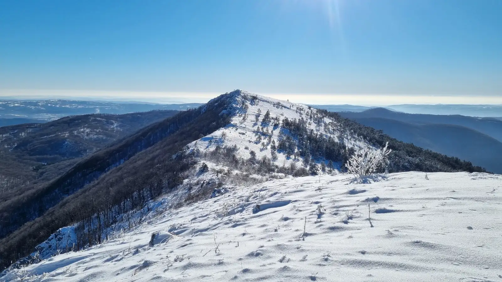 Culmea Domogled - Cristian Oprițescu