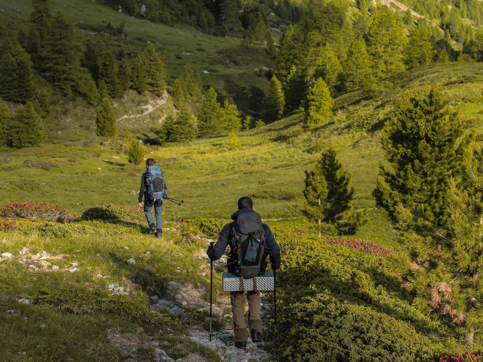 pregateste-te de drumetie