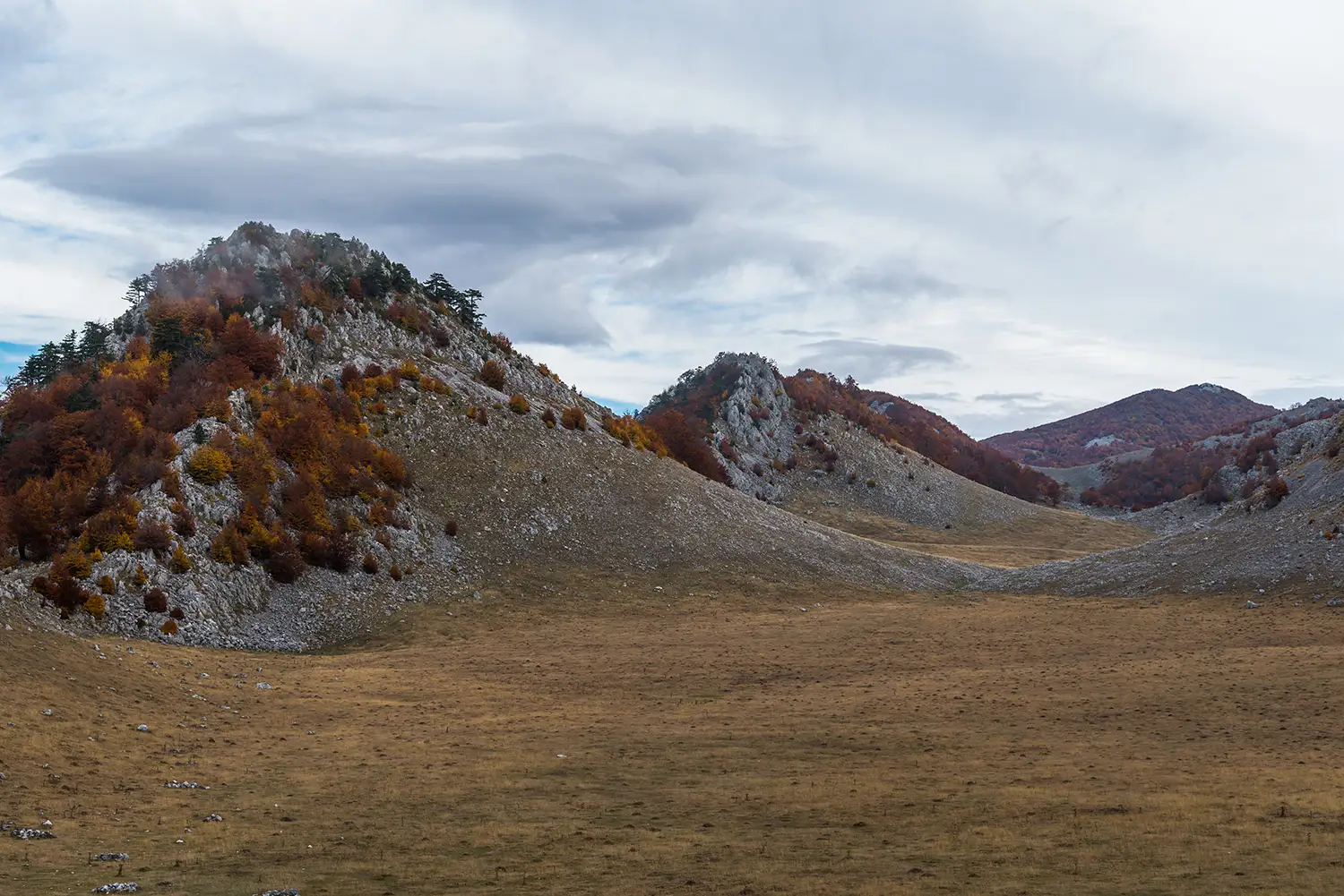 Parcul National Domogled-Valea Cernei