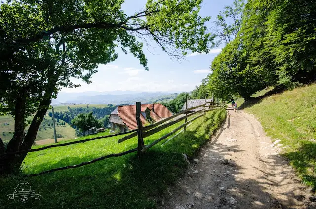  Poalele Pietrei Craiului, satul Măgura și Prăpăstiile Zărneștilor via Cheile Pisicii