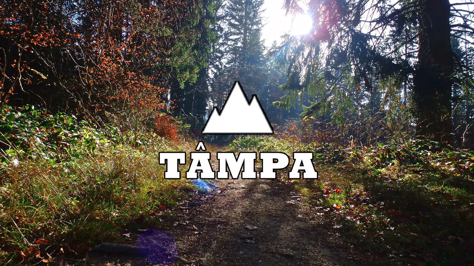  tampa