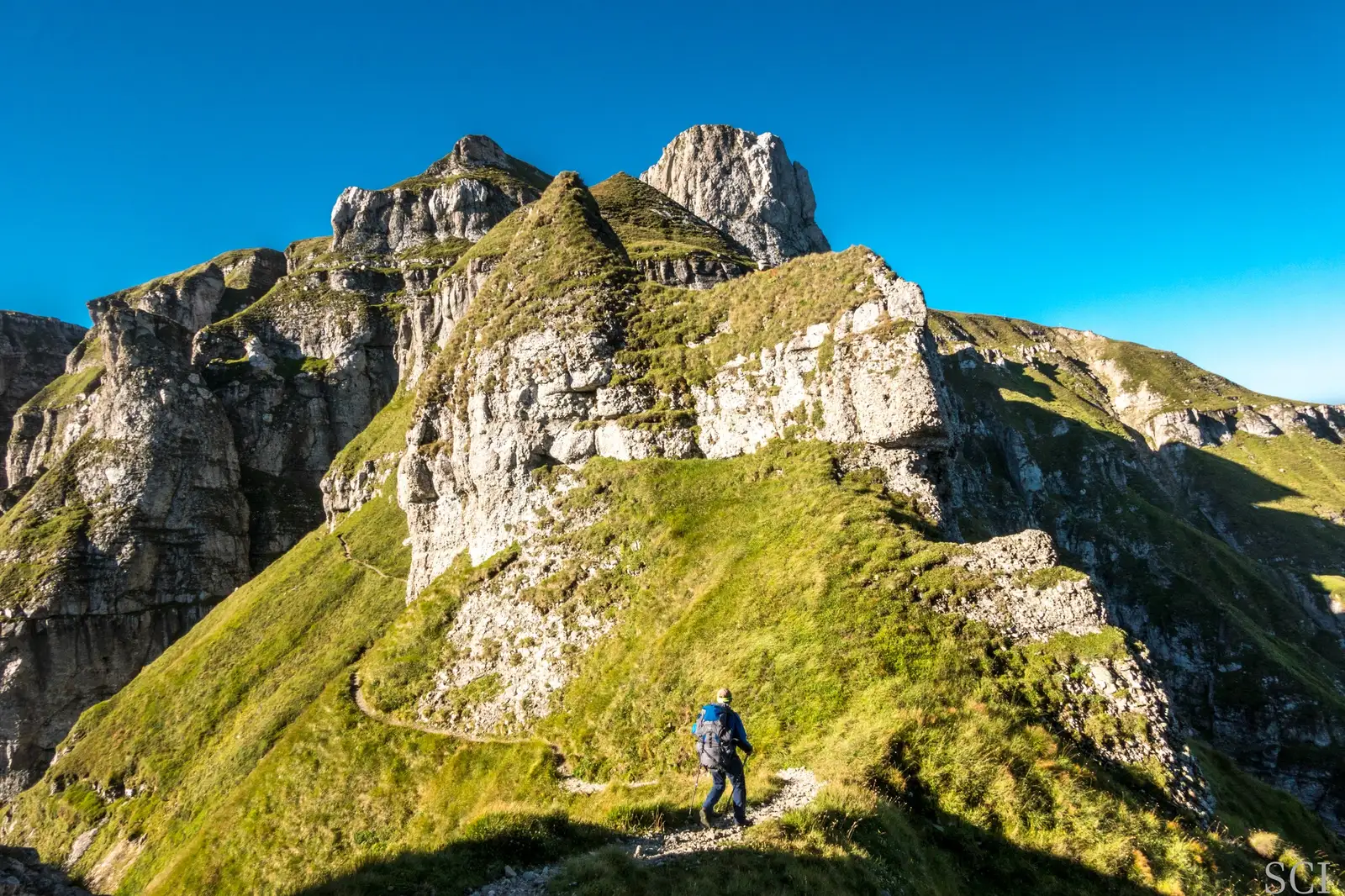 Turnurile Țigănești - Csaba-Ilie Silvesan