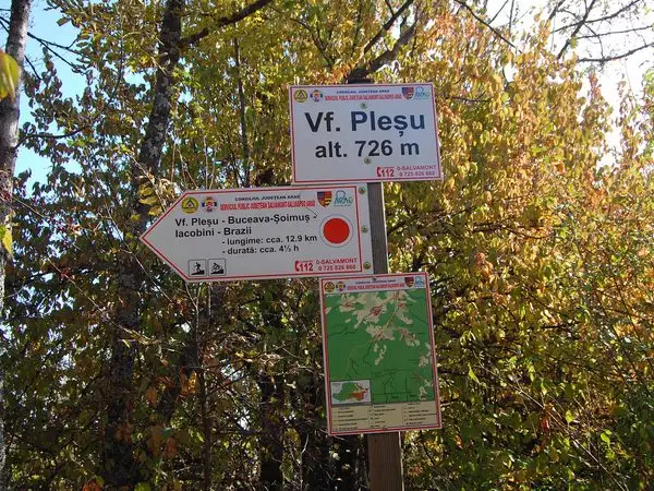 satul Brazii - lângă Vârful Fântâna lui şarpe - Dealul Pleşu