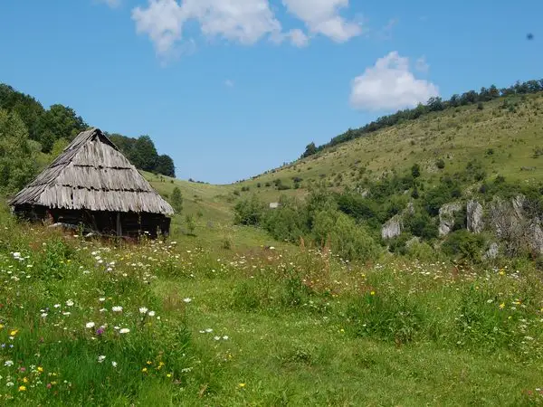Federi - Fundătura Ponorului