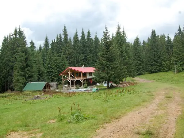 Cabana Prislop - Cabana Năsâpişte - Curmătura Mlăcilor