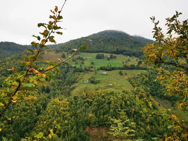 Uzina - Valea Râşca Mare - Uzina