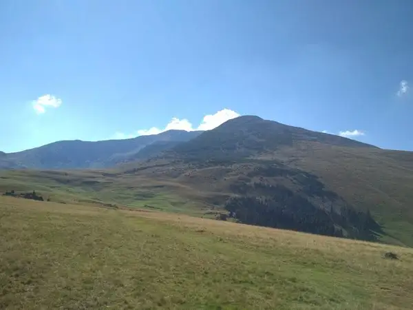 Poiana Mărului - Vârful Căleanu - Şaua Plaiului