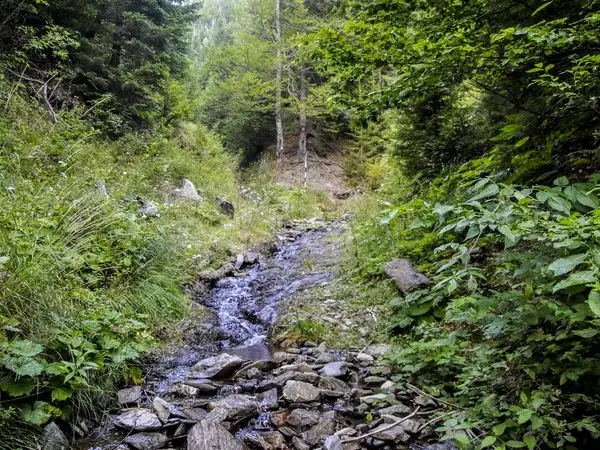 Curmătura Foii - Valea Dâmboviţei