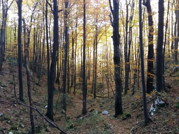 Băile Herculane (DN67D) în dreptul Hidrocentralei - Poiana Șaua Padina - Creasta Munţilor Mehedinţi
