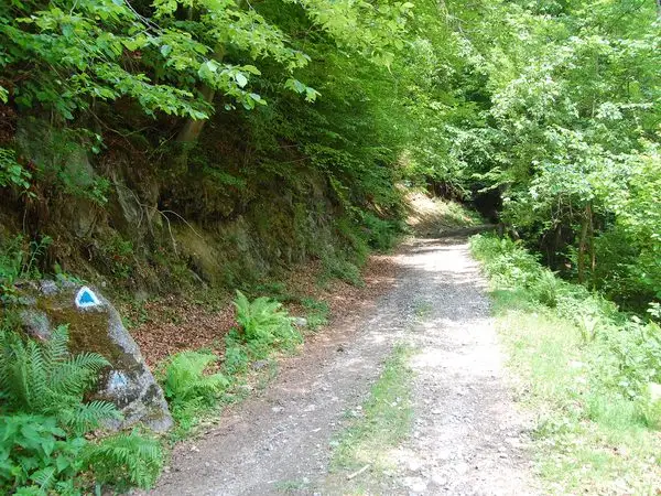 Valea Grădiştea - Cetatea Feţele Albe - Valea Albă