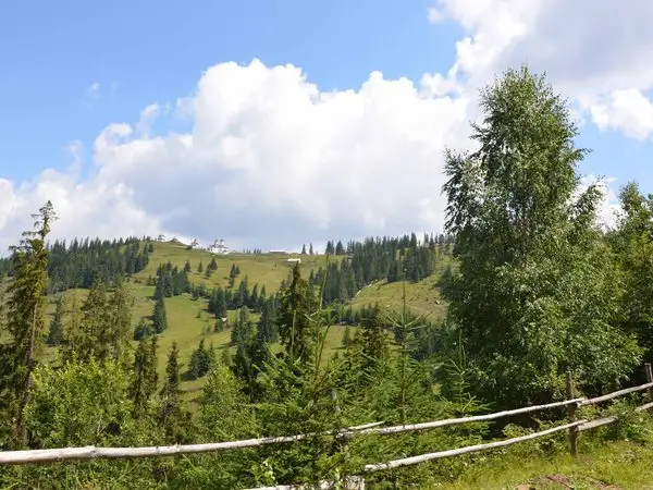 Panaci - culmea Munţilor Bistriţei - Panaci