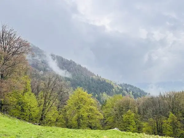 Traseu circuit în Masivul Ciucaș: Cheia – Vârful Zăganu – Vârful Gropșoarele – Vârful Ciucaș – Muntele Roșu – Cheia