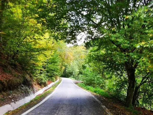 Negreni - Valea Sărăcelului - Negreni