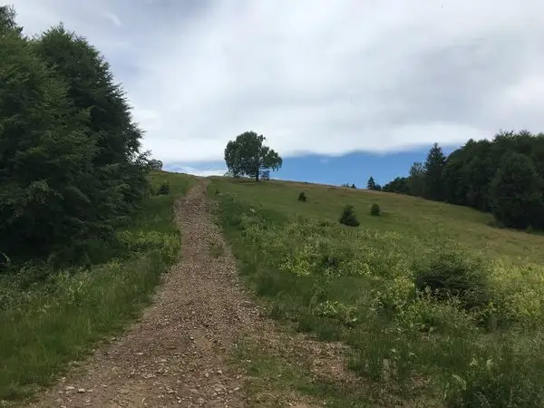 Valea Morii - Vârful Măgura