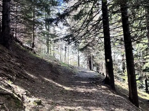 Traseu circuit în Masivul Ciucaș: Cheia – Vârful Zăganu – Vârful Gropșoarele – Vârful Ciucaș – Muntele Roșu – Cheia