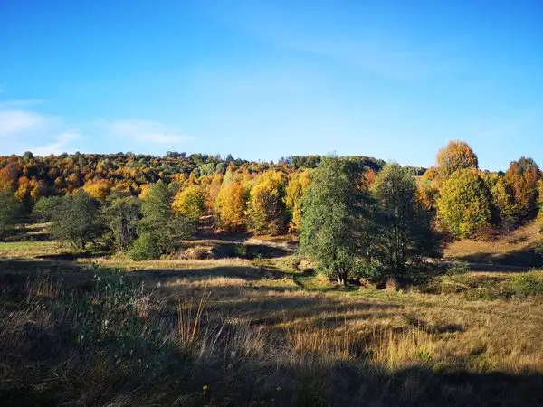 Negreni - Dealul Curtuşcii - Negreni