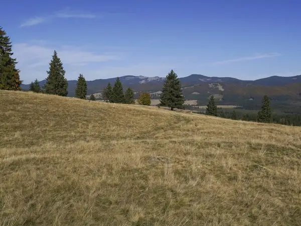 Estelnic - Vârful Răchitiș - Estelnic