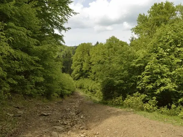 Oituz - Valea Oituz - traseul BA