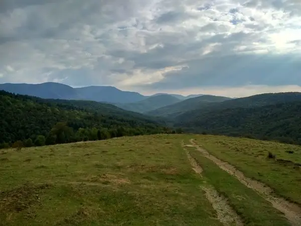Feneş - Poiana Zloaba - Cuntu