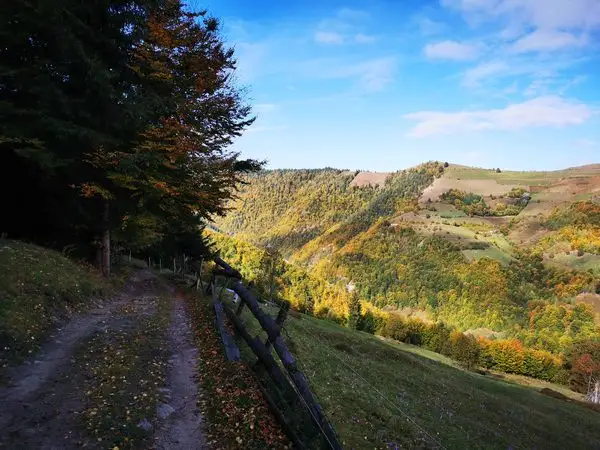 Mănăstirea Muntele Rece - sub Vârful Măgura - Mănăstirea Muntele Rece