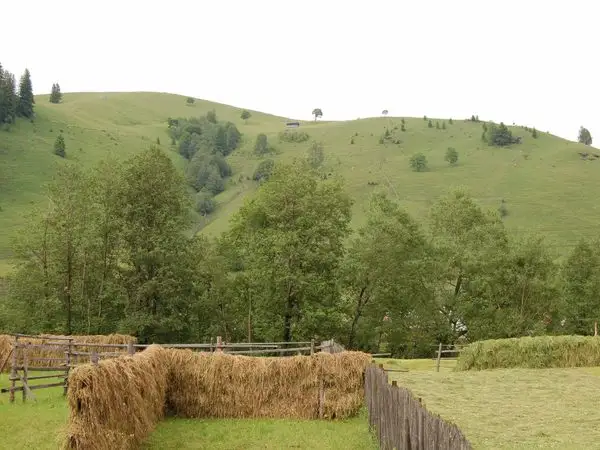 Colacu - culmea Obcinei Mestecănişului - Ciocăneşti