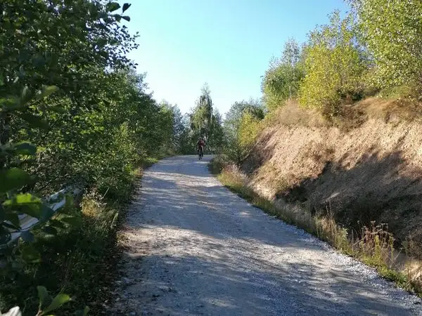 Negreni - Dealul Curtuşcii - Negreni