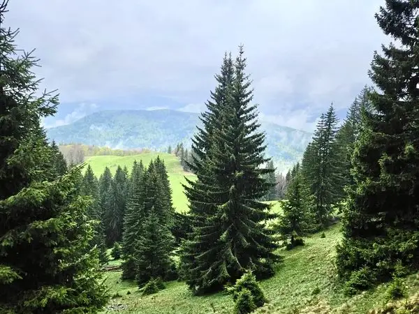 Traseu circuit în Masivul Ciucaș: Cheia – Vârful Zăganu – Vârful Gropșoarele – Vârful Ciucaș – Muntele Roșu – Cheia