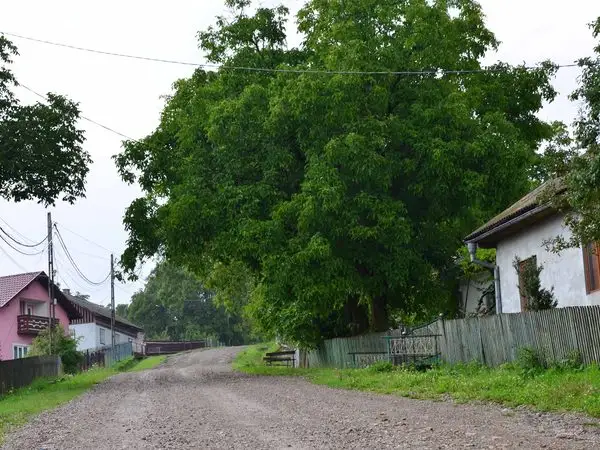 Gura Humorului - Mănăstirea Humorului - Gura Humorului