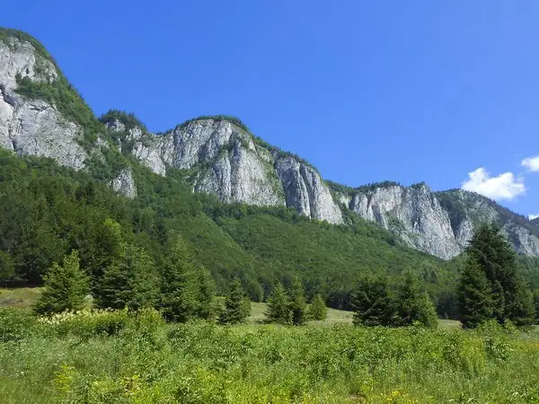Fosta Cabană Cheia - Cheile Râşnoavei - Timişu de Sus