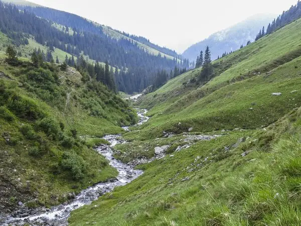 Parva - Între Rebre - Tarniţa La Cruce