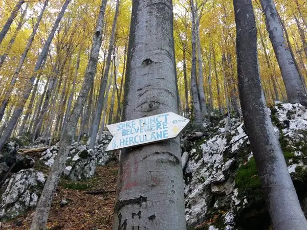 Băile Herculane (DN67D) în dreptul Hidrocentralei - punct belvedere - Creasta Munţilor Mehedinţi