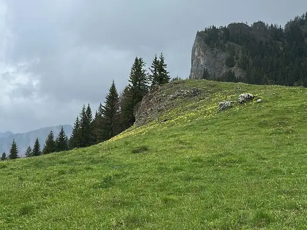 Traseu circuit în Masivul Ciucaș: Cheia – Vârful Zăganu – Vârful Gropșoarele – Vârful Ciucaș – Muntele Roșu – Cheia