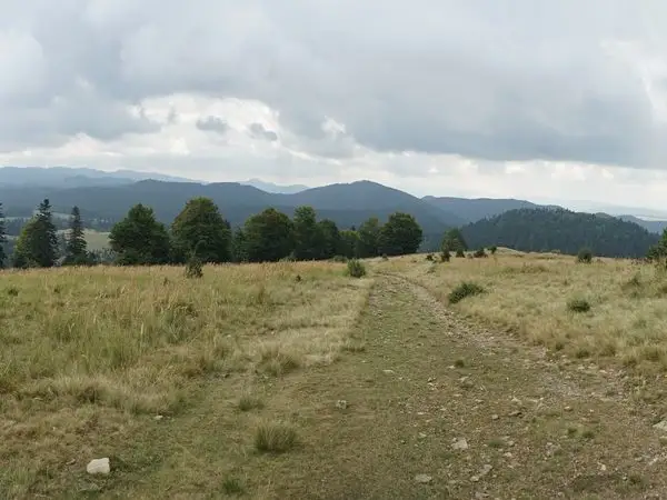 Pasul Dălghiu (DJ103A) - Vârful Brusturos -  pasul dintre Covasna şi Comandău (DC14)