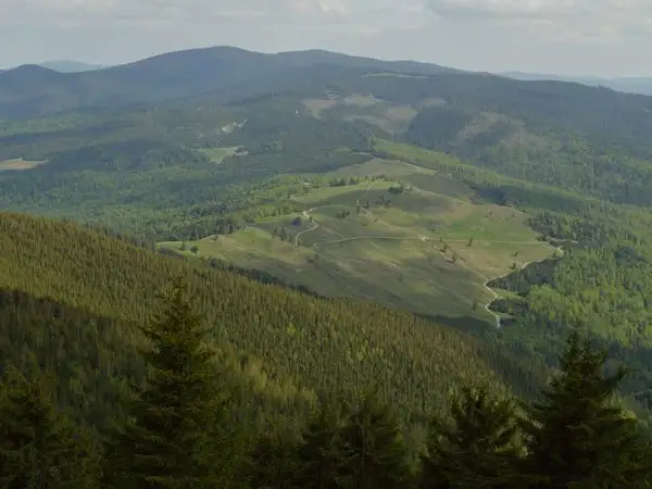 Tulnici - Vârful Pietrosu - Nereju Mic