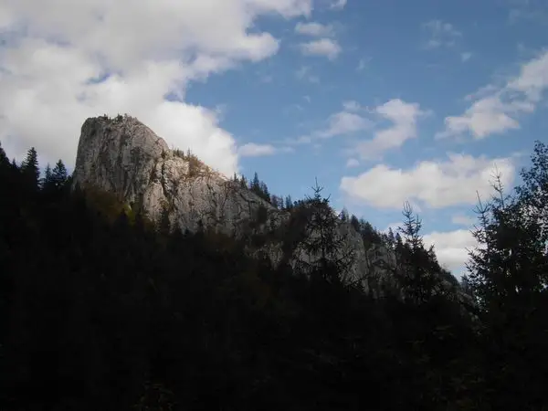 Circuitul mic Răchiţele