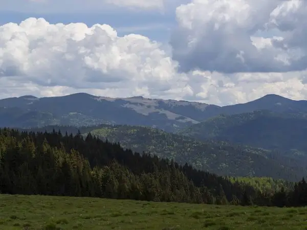 Plăieșii de Sus - Vârful Repatu Mare - Iacobeni