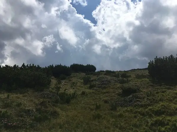 Cantonul Silvic Niculeşti - Refugiul Cindrel - Şaua Cânaia
