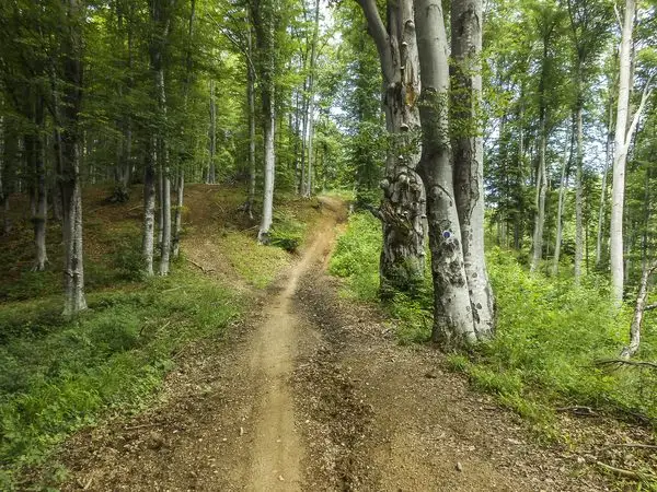 Poiana Braşov - Valea Groapa Lungă - Piscul Lung