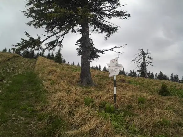 Valea Sebeşului - sub Vârful Pietriceaua