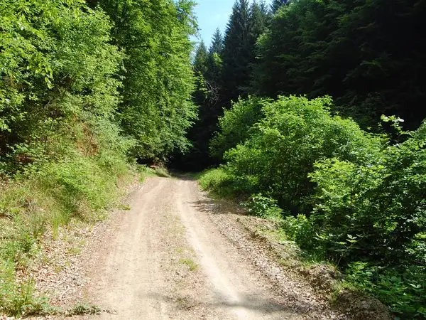 Luncani - Valea Alunului - Prihodişte