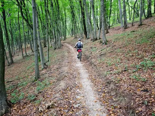 MTB prin Colinele Transilvaniei