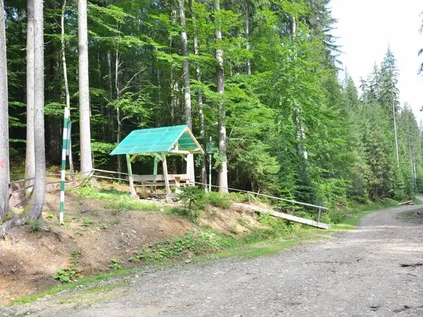 Vatra Moldoviţei - sub Vârful Upălnici - Putna