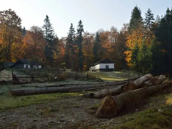 Greşu (Casa lui Neagu) - Valea Putnei - Şaua Poieniţa