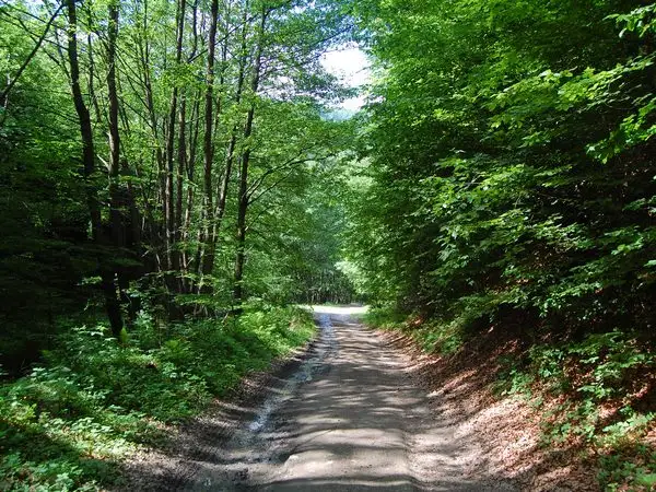 Luncani - Valea Alunului - Prihodişte