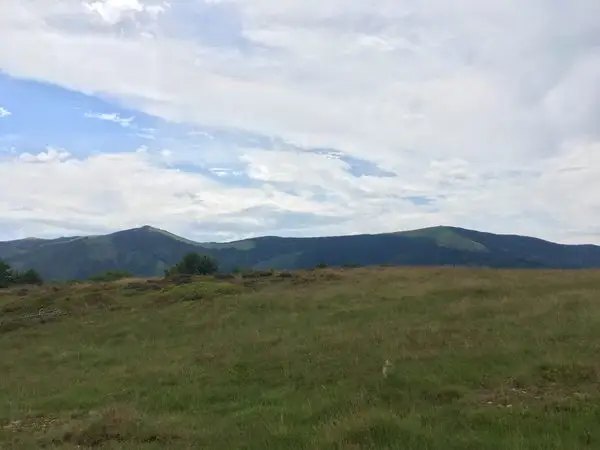 Valea Morii - Vârful Măgura