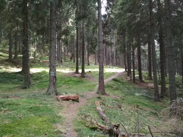 Cracu Pip (La Văcarie) - Sub Vârful Şeroni - La Lemn (spre Cuntu)