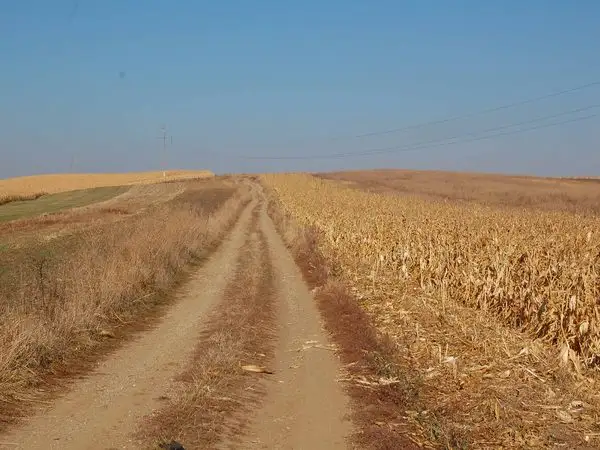 Cartierul Mănăștur - Izvorul Dr. Bilașcu - Tureni - Ciurila - Coasta Dumbrăvilor - lângă Cetatea Fetei - Centrul Comercial „Vivo”