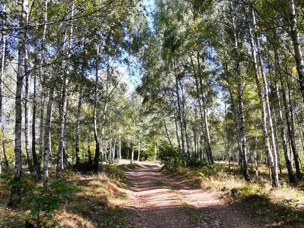Negreni - Valea Sărăcelului - Negreni
