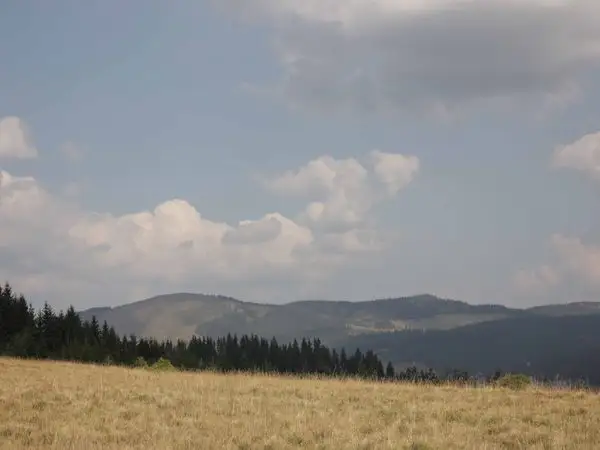 Breaza - culmea Obcinei Mestecănişului - Botuş